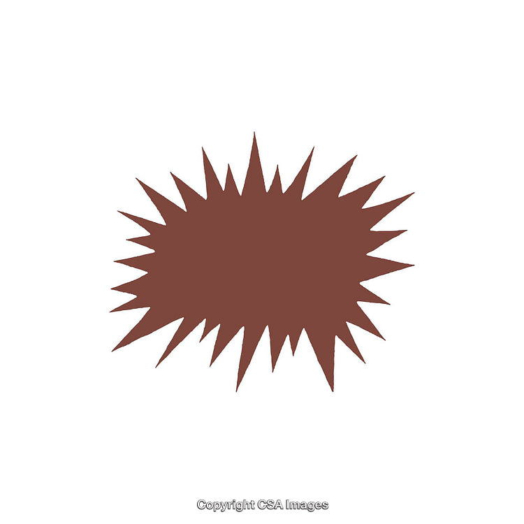 Brown Jagged Shape with Starburst Design on White Background