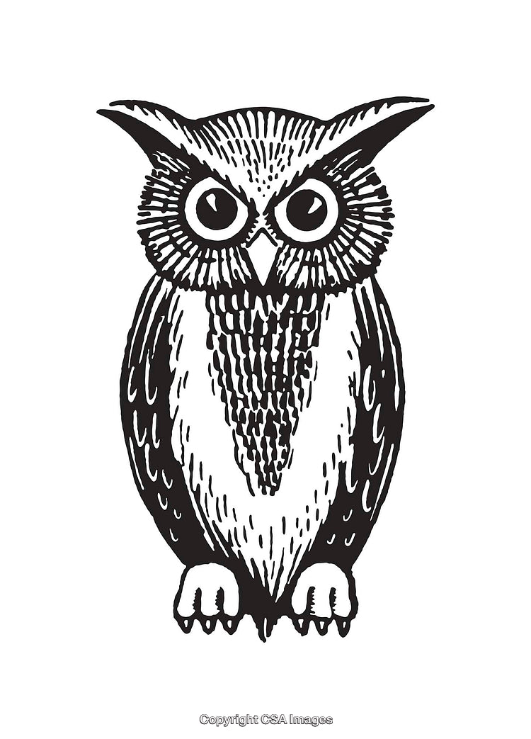 Detailed Black and White Line Art Illustration of a Stylized Owl