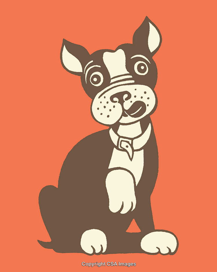 Colorful Illustration of a Playful Dog on an Orange Background