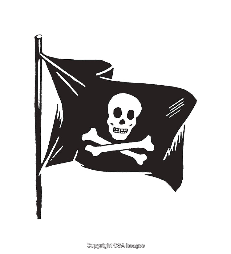 Black and White Pirate Flag Skull and Crossbones Illustration