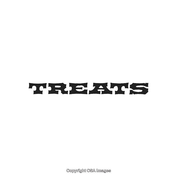 Western-Style Font Featuring the Bold Word 'Treats' on White Background