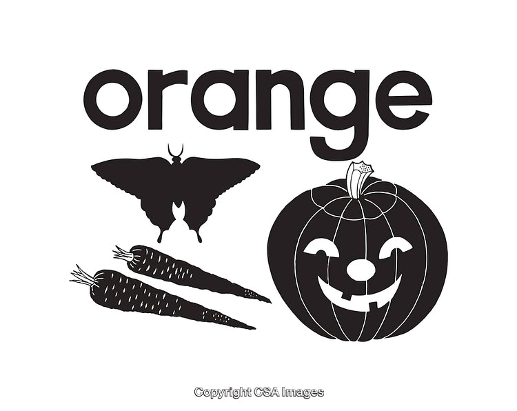Black and White Illustrations of Seasonal and Natural Elements