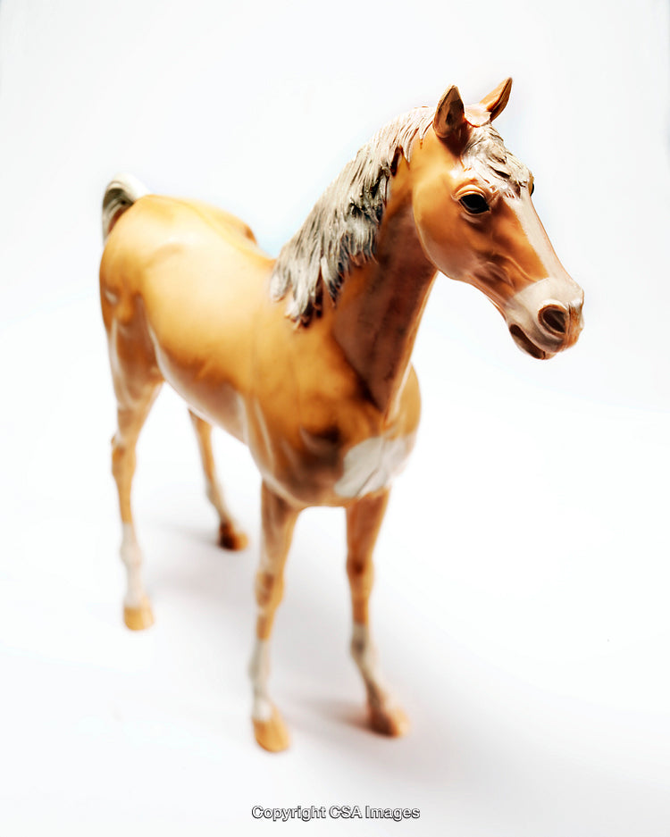 Realistic Toy Horse Figurine on a White Background