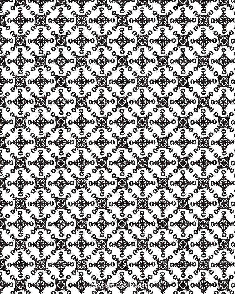 Elegant Black and White Ornamental Pattern with Intricate Design