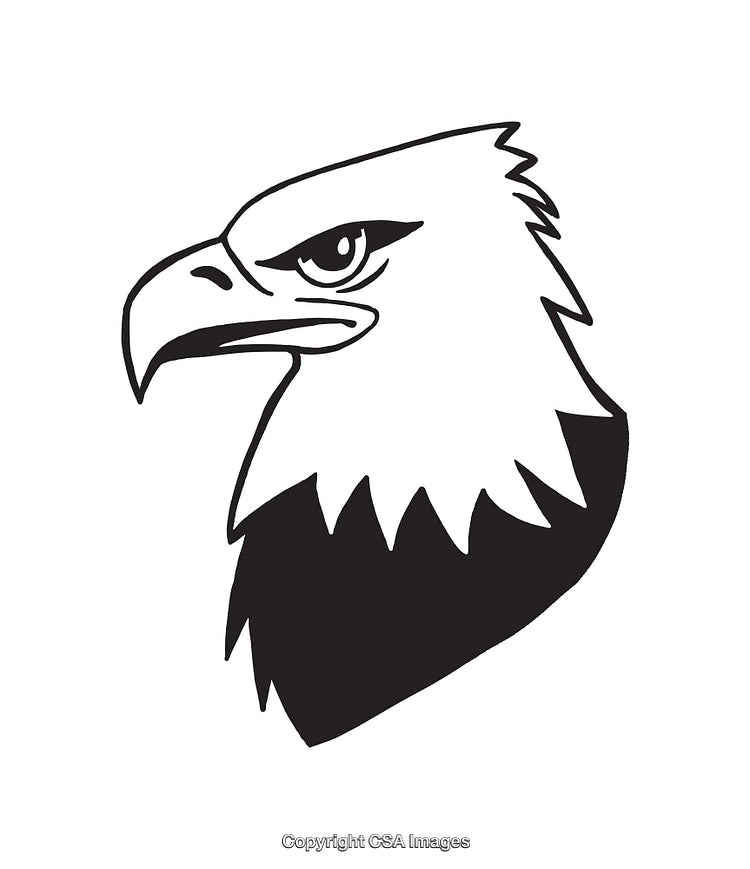 Detailed Black and White Line Art of an Eagle Head