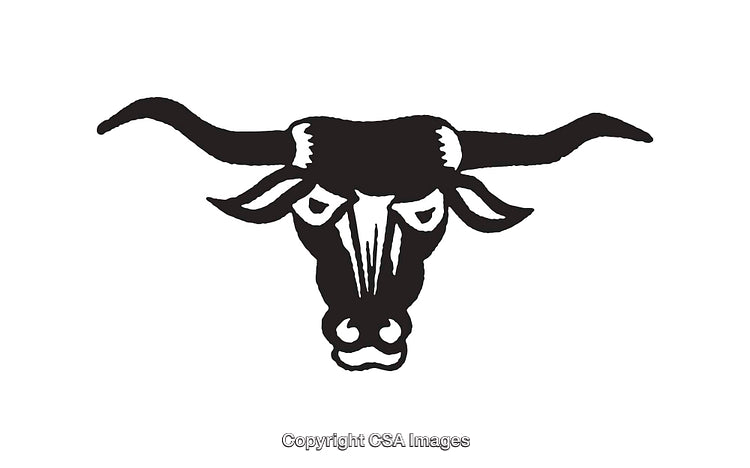 Black and White Illustration of a Longhorn Bull Head With Wide Horns