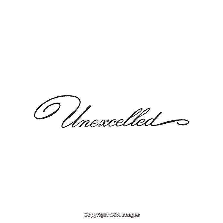 Elegant Handwritten Script of the Word Unexcelled in Black Ink on White Background
