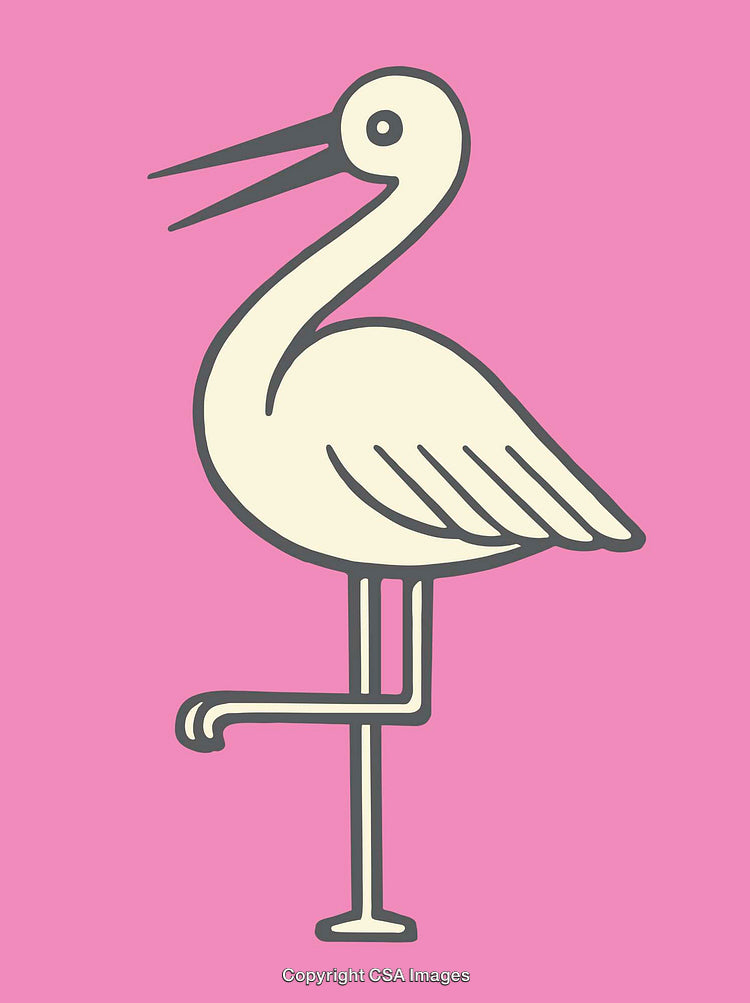 Pink Themed Line Art Illustration of a Heron Standing Gracefully