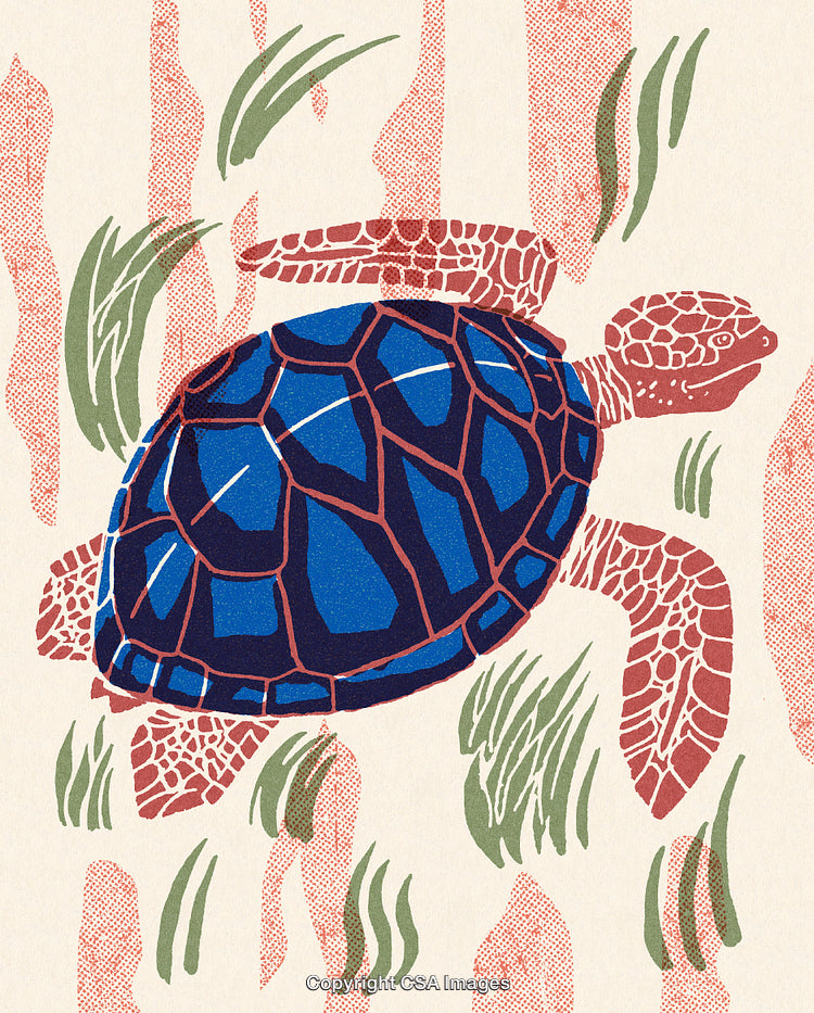 Graphic Illustration of a Stylized Turtle in an Abstract Environment
