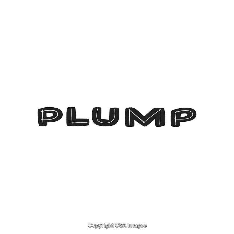 Bold Typography Displaying the Word 'Plump' in Black on a White Background