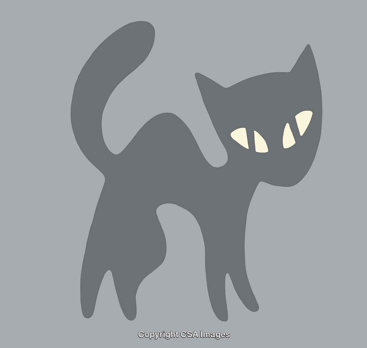 Minimalist Illustration of a Mysterious Cat in a Stylized Design