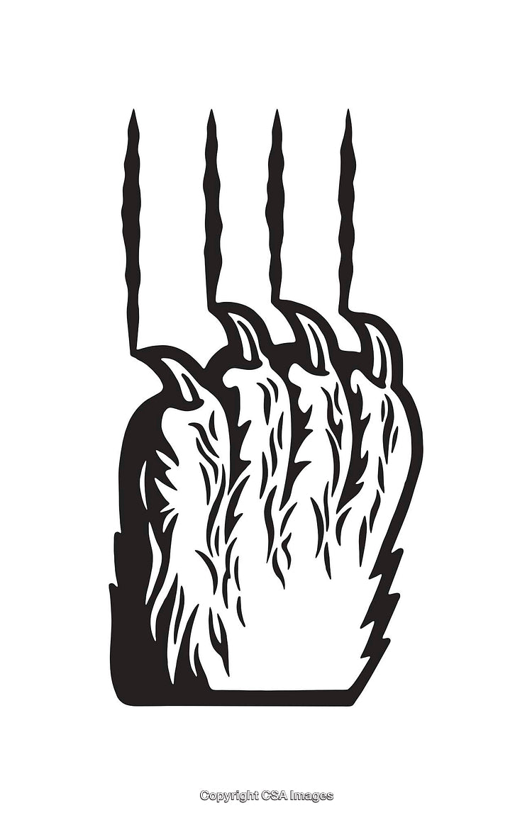 Monochromatic Line Art Illustration of a Wild Animal Paw Print