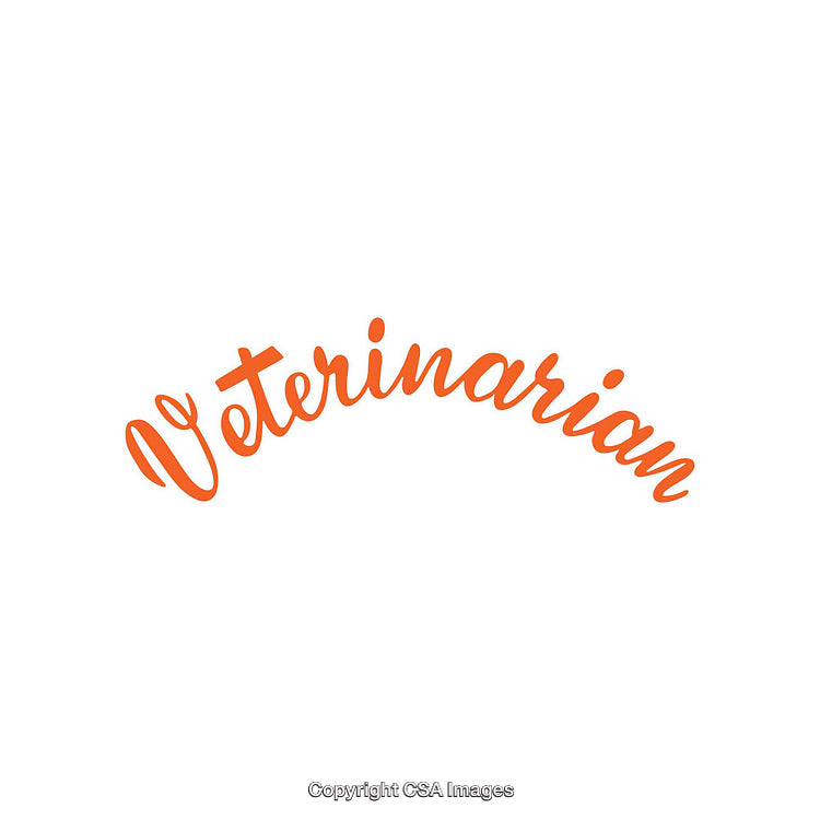 Professional Veterinarian Text in Orange on a Clean White Background