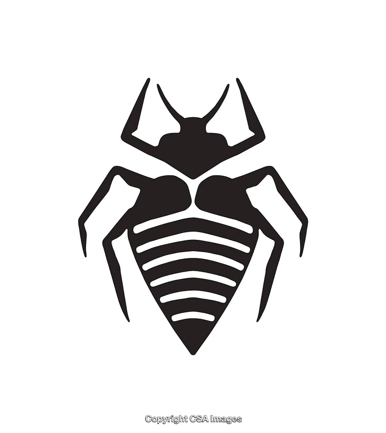 Black and White Tribal Style Insect Icon on White Background