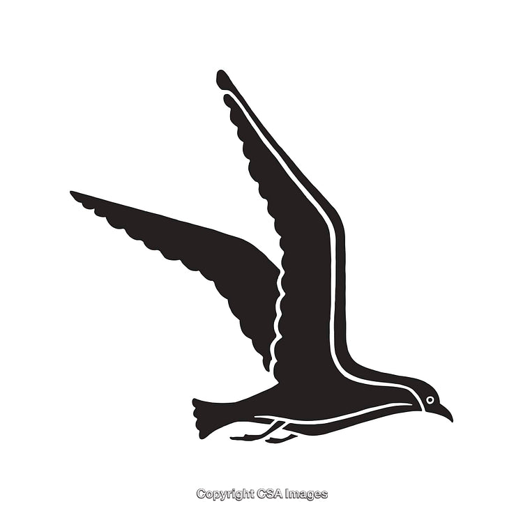 Black and White Line Art of a Bird in Flight