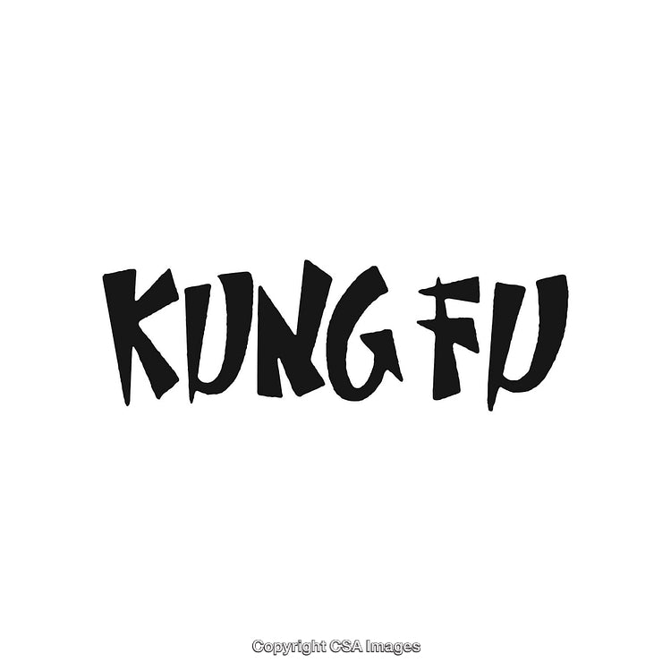 Stylized Hand-Drawn Kung Fu Calligraphy Design on a Clean White Background