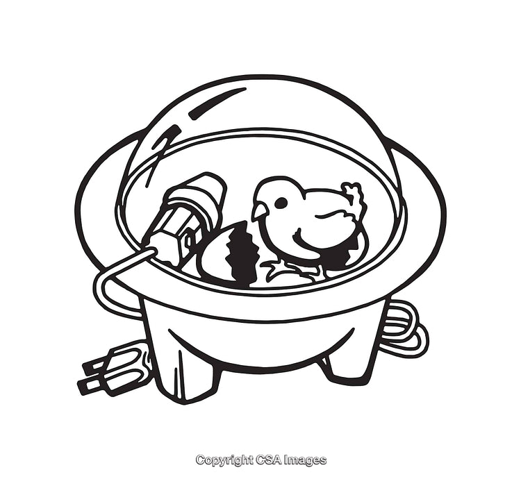 Black and White Line Art of Incubating Chick Hatching Illustration