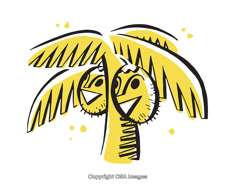 Colorful Illustration of Cartoon Palm Tree with Happy Coconut Faces