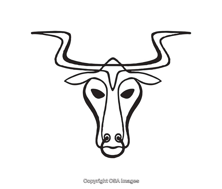Line Art Illustration of a Stylized Bull with Curved Horns