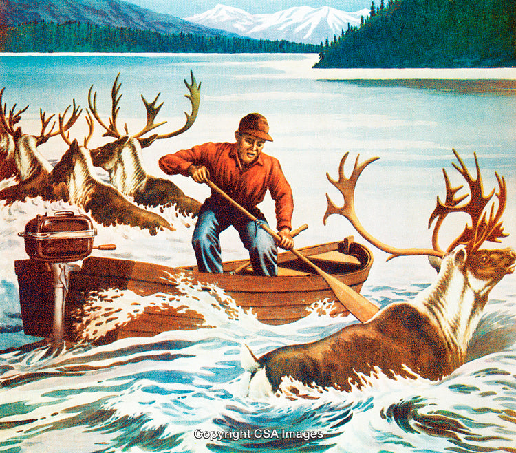Man Navigating A Boat Among Swimming Reindeer in Picturesque Mountain Lake Artwork