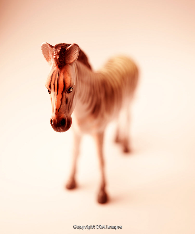Close-Up of a Zebra Figurine with Warm Lighting and Soft Focus