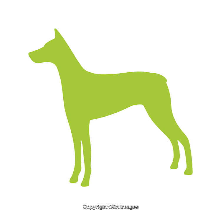 Green Silhouette of Standing Doberman Dog on White Background