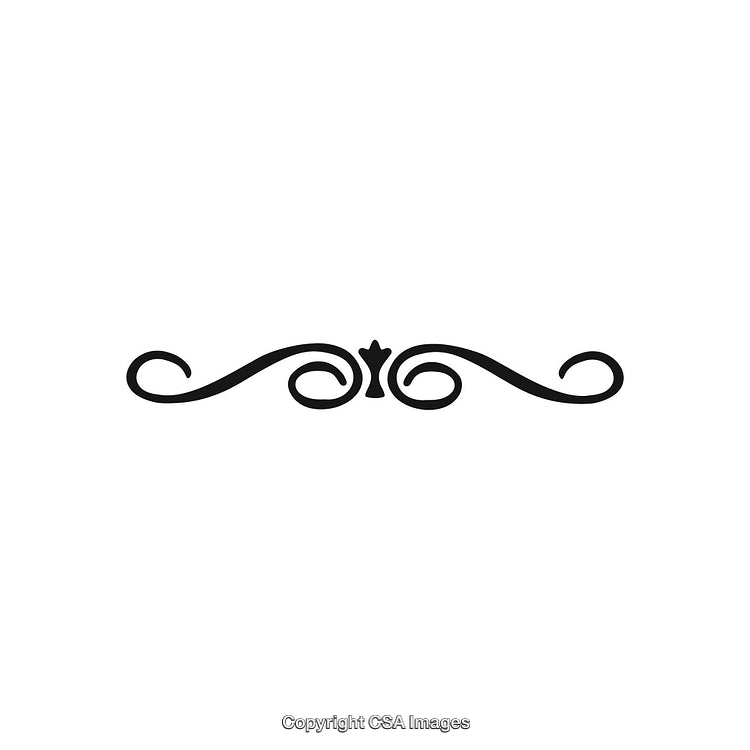 Elegant Decorative Ornament Divider in Black and White Style