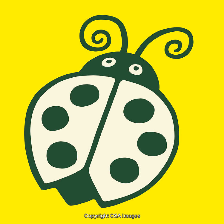 Vector Illustration of a Stylized Ladybug With Bold Colors