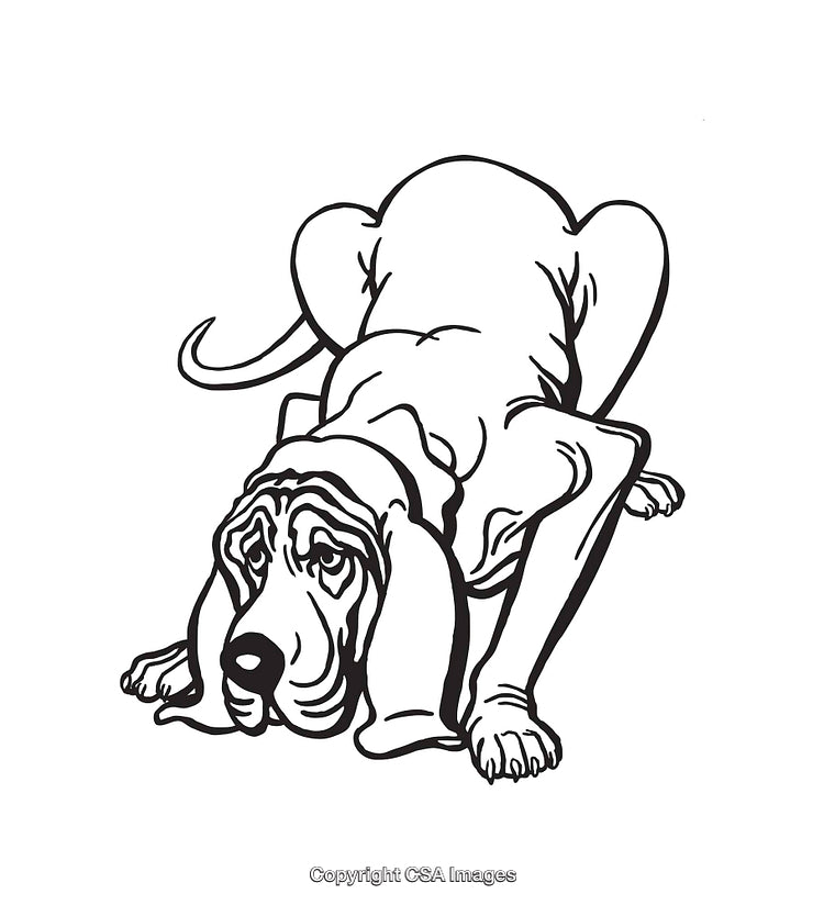 Detailed Line Art of a Playful Bloodhound Dog in a Crouching Pose