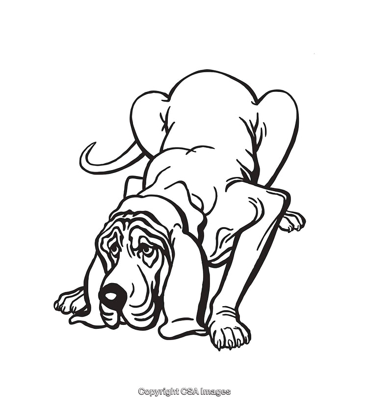 Detailed Line Art of a Playful Bloodhound Dog in a Crouching Pose