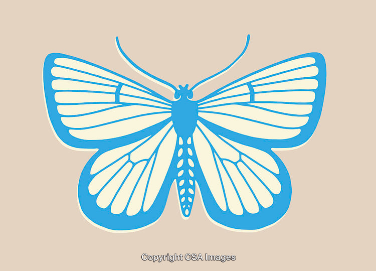 Detailed Blue Butterfly Line Art Illustration on a Beige Background