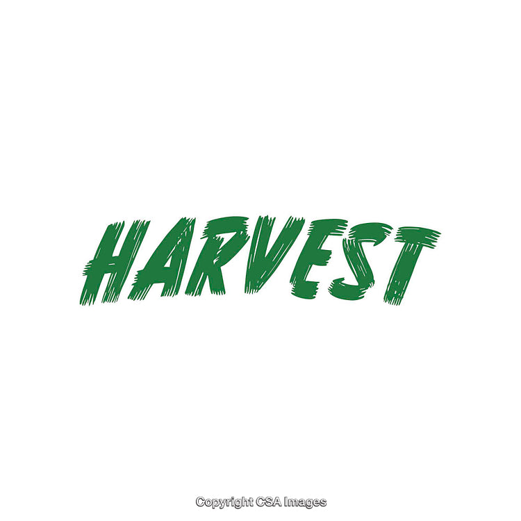 Green Harvest Text in Single Color Minimalist Design on White Background