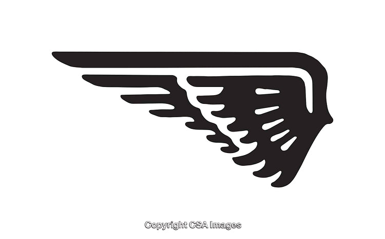 Black and White Stylized Wing Icon on a White Background