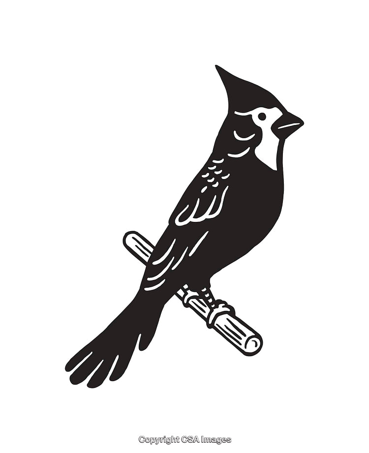 Stylized Black and White Line Art Illustration of a Perched Bird