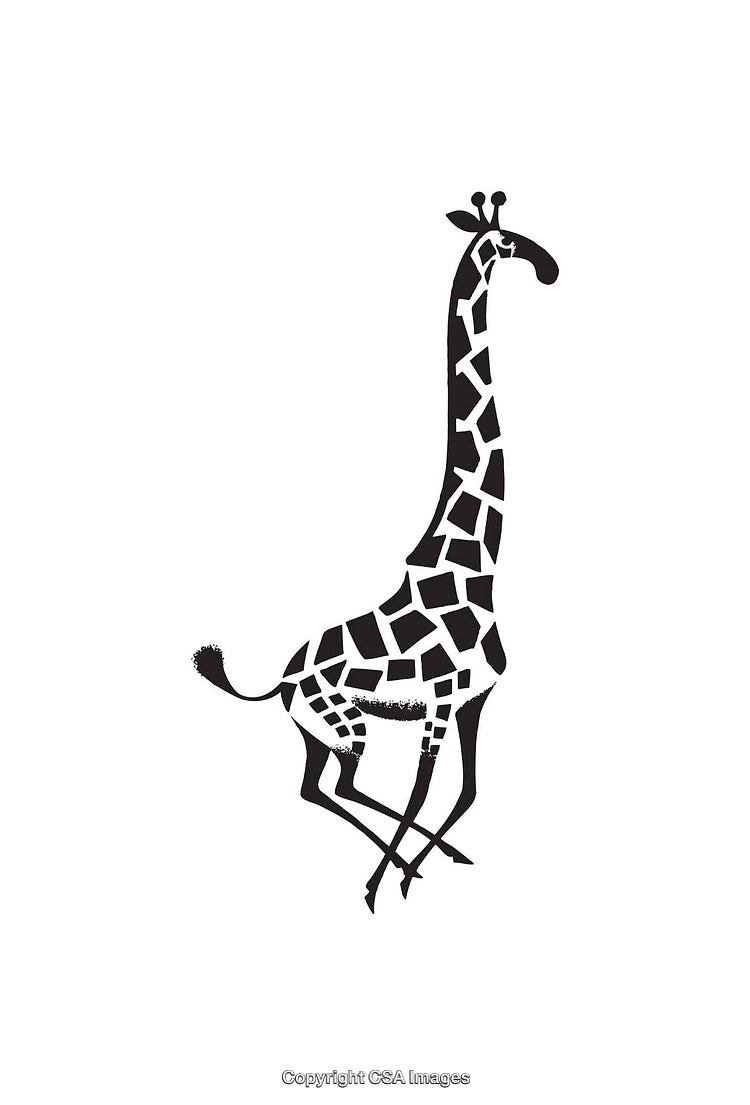 Stylized Black and White Giraffe Illustration with Intricate Patterns
