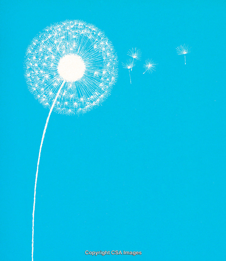Minimalist Illustration of a Dandelion on a Bright Blue Background