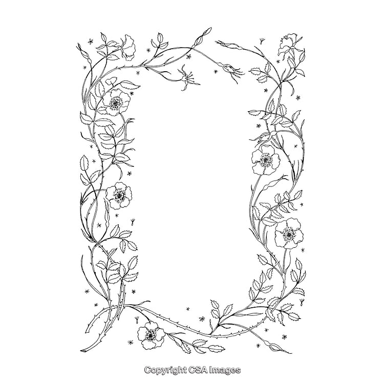 Elegant Black and White Floral Border With Hand-Drawn Flower Details