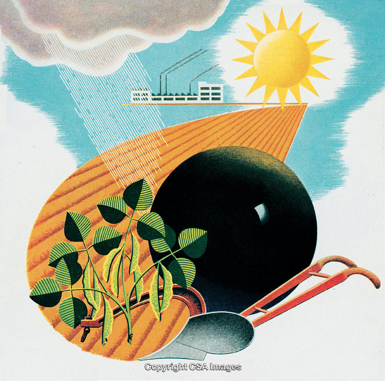 Surreal Representation of Agriculture with Plants, Sunlight, and Industrial Elements
