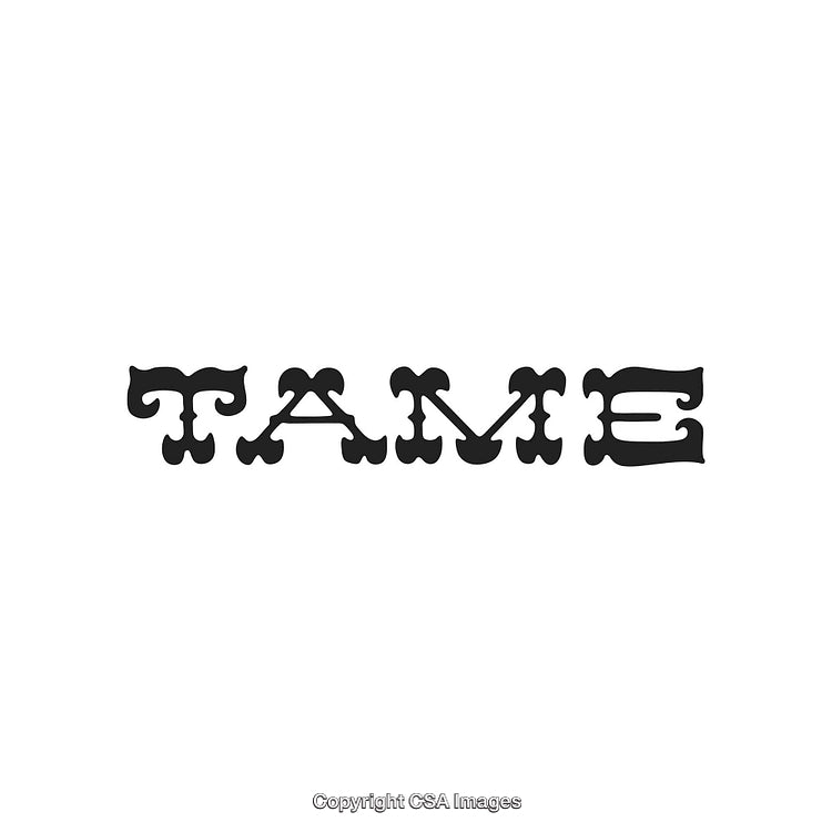 Vintage Ornate Text Design Spelling the Word Tame on White Background