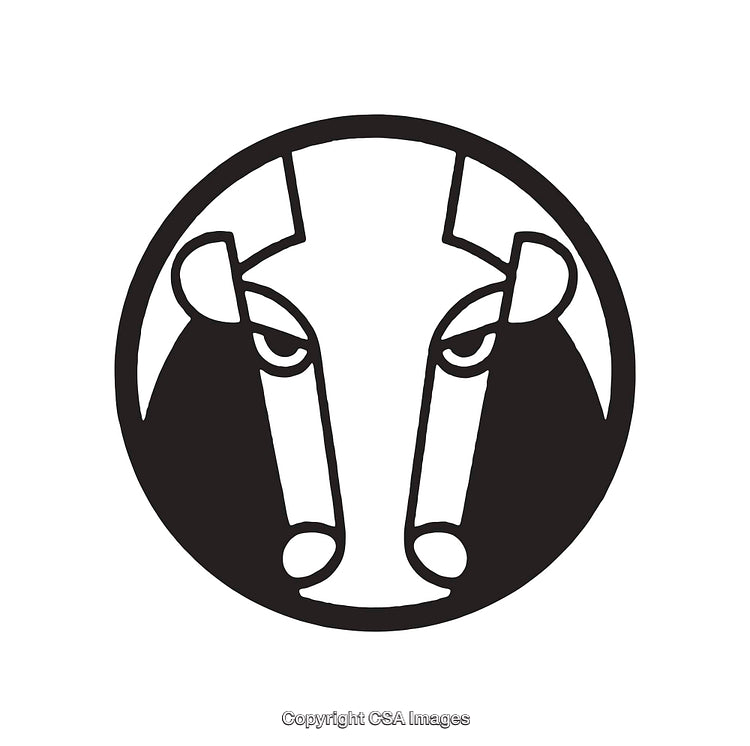 Black and White Line Art Illustration of a Bull's Head