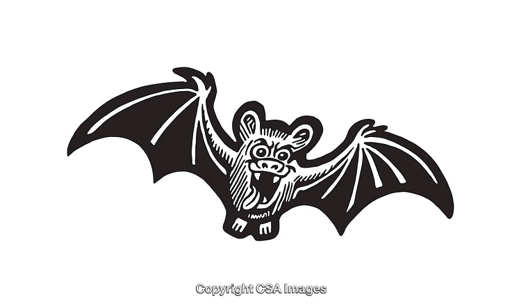 Black and White Illustration of a Stylized Bat in Flight