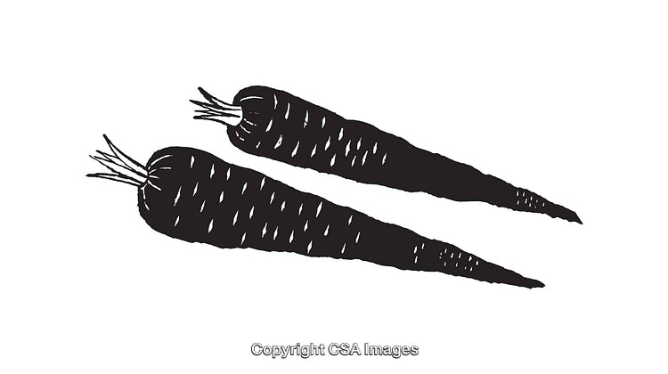 Black and White Illustrated Carrots in Minimalist Line Art Style
