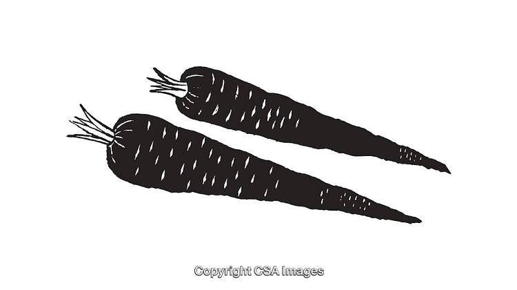 Black and White Illustrated Carrots in Minimalist Line Art Style