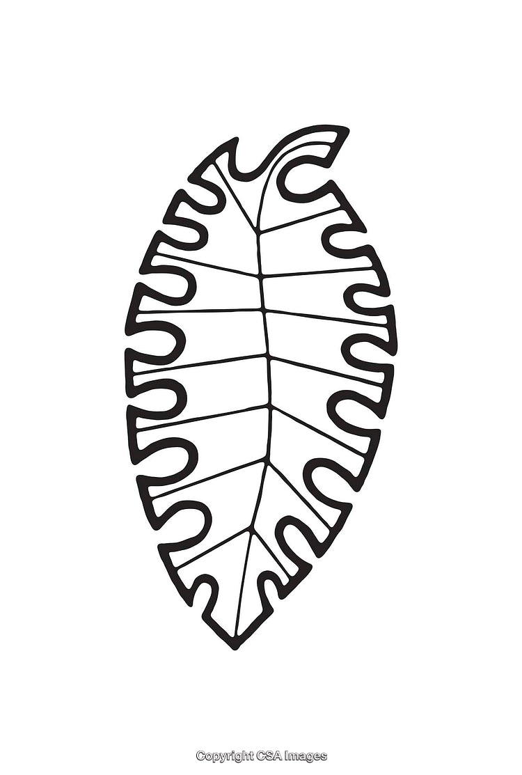 Black and White Line Art Illustration of a Tropical Leaf