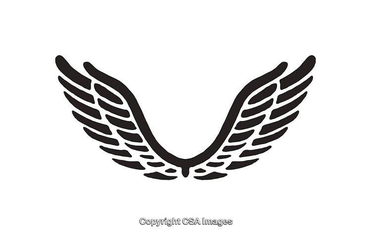 Black and White Symmetrical Wing Illustration in Line Art Style