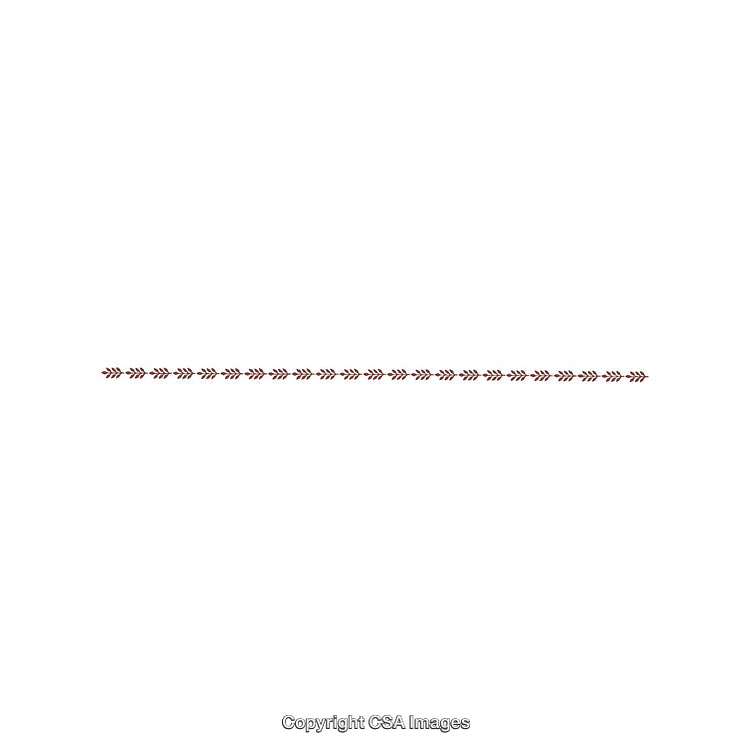 Simple Horizontal Divider With Ivy-Inspired Ornaments on White Background