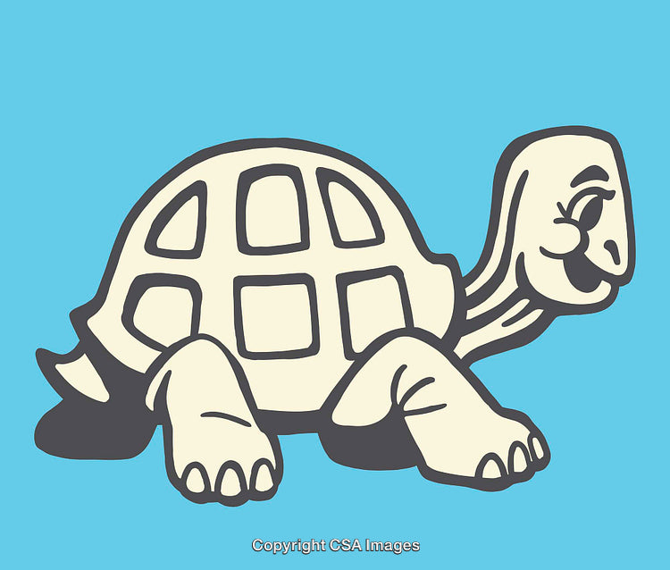 Smiling Cartoon Turtle on a Bright Blue Background Illustration