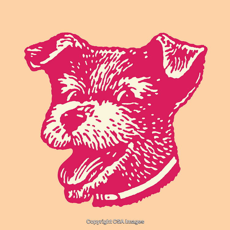 Vintage Line Art Illustration of a Dog’s Head in Red on Beige Background