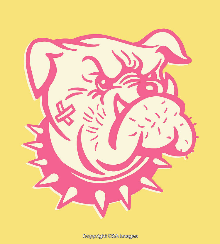Bold Line Art Illustration of a Fierce Bulldog Head on Yellow Background