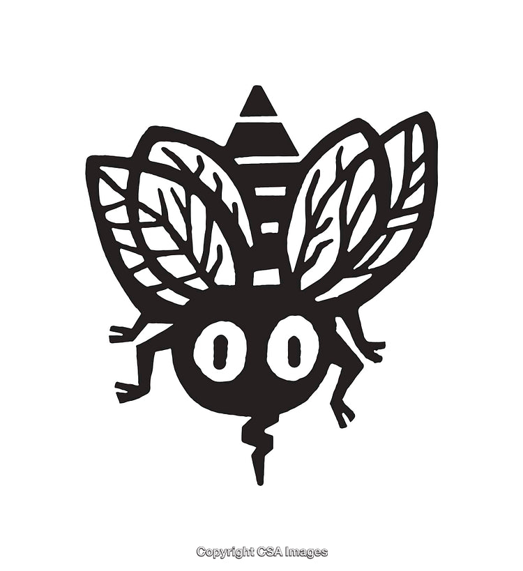 Black and White Line Art Illustration of an Abstract Insect Design